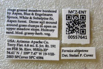 Media type: image;   Entomology 557641 Aspect: labels